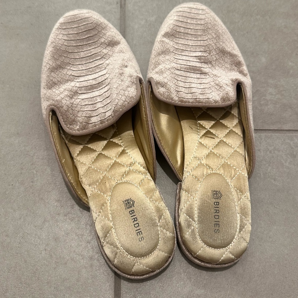 Birdies velvet mules